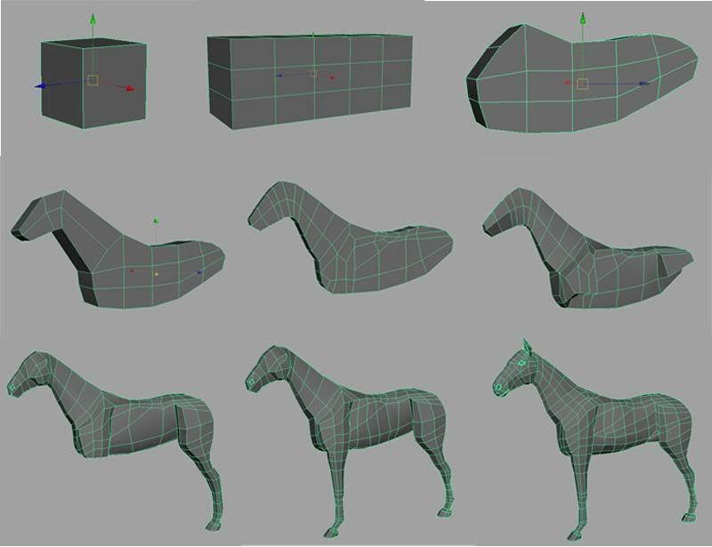 horse_Steps.jpg Photo by Tuxedoknek Photobucket